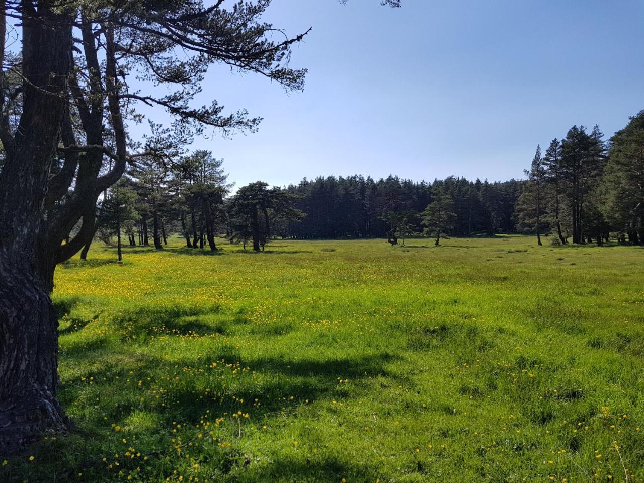 Bolu Adya Hotel Luaran gambar